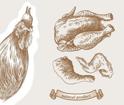 poultry breeding