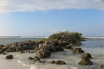 Palm trees on blue sky, with sea on tropical area