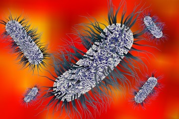 Microscopic view of Escherichia coli, Salmonella, enteric bacteria on colorful background, model of bacteria which cause diarrhea, illustration of microbe, microorganisms, rod-shaped bacteria