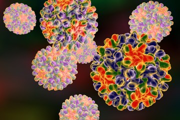 Background with viruses. Hepatitis B virus. A model is built using data of viral macromolecular structure furnished by Protein Data Bank (PDB 4G93)