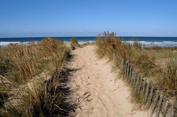 sentier