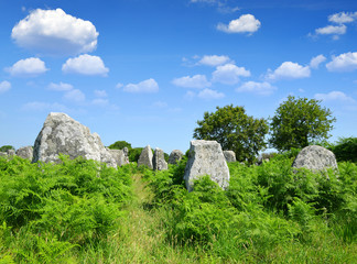 Megalithic monuments menhirs in Carnac,Brittany, France