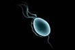 Trichomonas vaginalis isolated on black background. Sexually transmitted microorganism, protozoan, microbe. Microscopic view. Medical background.