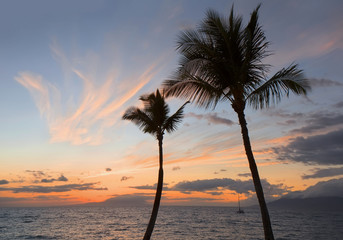 Fototapeta na wymiar Tropical sunset with palm trees silhouette