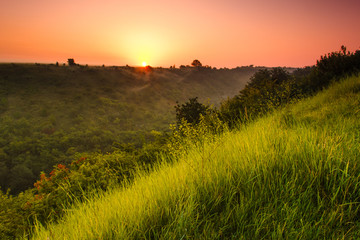 Fototapeta premium Landscape sunrise at summer. Foggy morning on meadow.