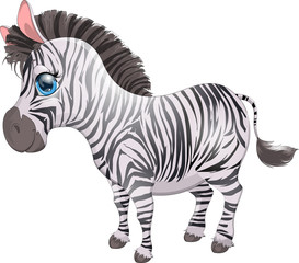 the zebra