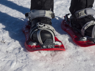 Snowshoes for walking on snow.