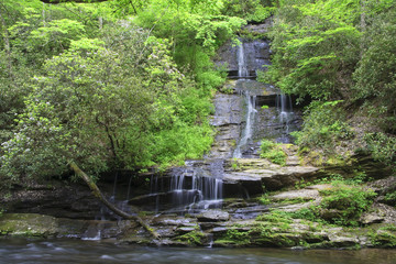 Fototapeta na wymiar Tom Branch Falls at Deep Creek Area in the Springtime