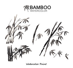 Watercolor paint bamboo, Isolated on white background, high resolution
