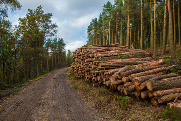 Logging in Derbshire Dales