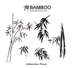 Watercolor paint bamboo, Isolated on white background, high resolution
