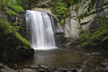 Looking Glass Falls in the Summer