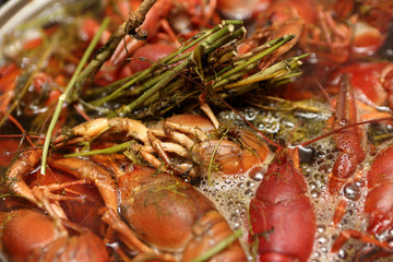Cooking of crayfish with dill