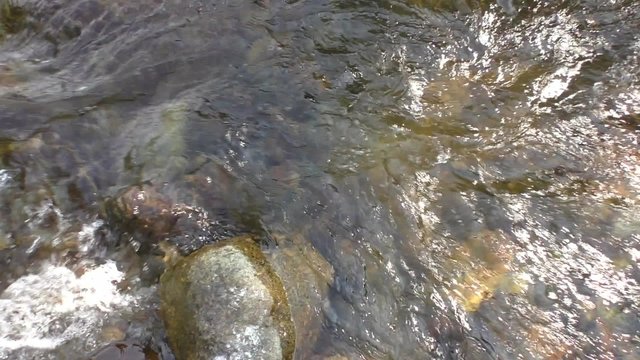 Eau vive d'une rivi&egrave;re dans les C&eacute;vennes	
