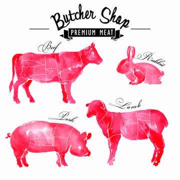 Meat symbols set pork, beef, lamb, rabbit, hand-drawing 