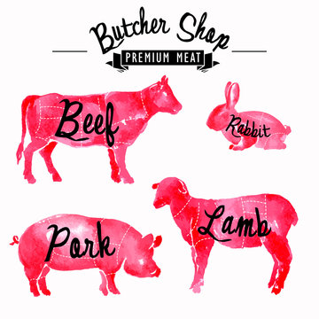 Meat symbols set pork, beef, lamb, rabbit, hand-drawing