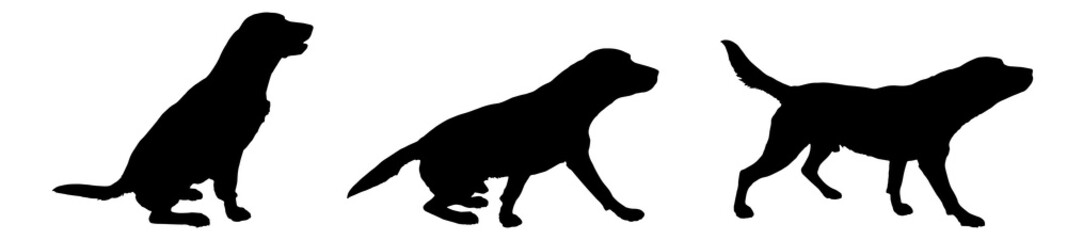 Vector silhouette of a dog.