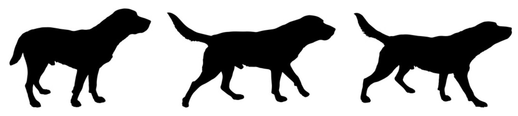 Vector silhouette of a dog.