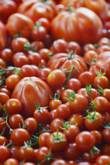 Tomatoes Background