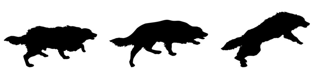 Obraz na płótnie Canvas Vector silhouette of a dog.