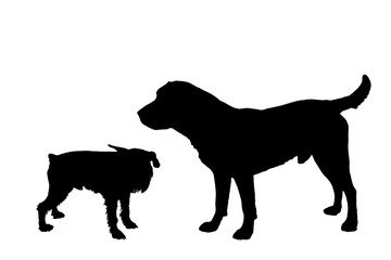 Vector silhouette of a dog.