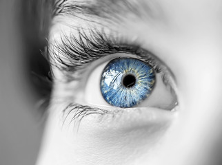 insightful look blue eyes boy