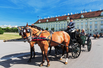 Obraz premium Vienna, Hofburg, fiaker ride