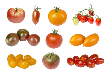 A collage of different varieties of tomatoes on a white background isolated