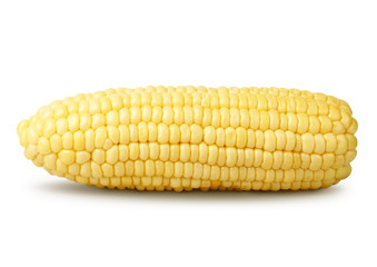 Corn isolated on a white background