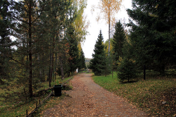 Загородный пейзаж © vikhon