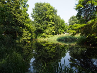 Fototapeta na wymiar Spiegelung, Gewässer im Tiergarten, Berlin