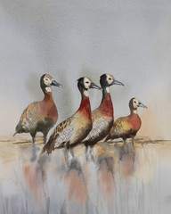 Original watercolour, four white-faced whistling ducks at the side of a lake