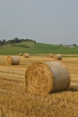 Straw balls