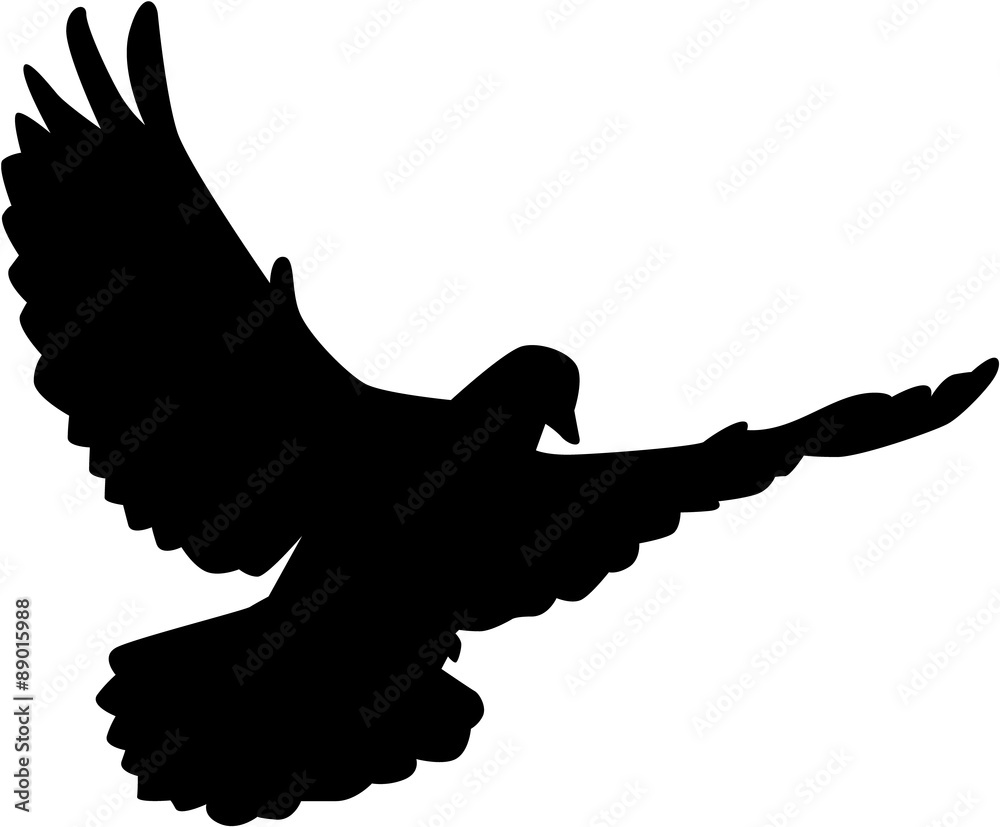 Wall mural Flying dove silhouette