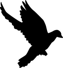 Silhouette Flying dove