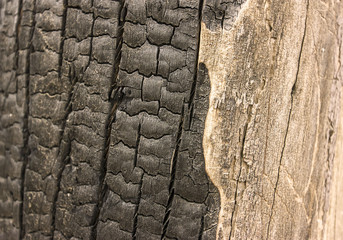 Surface of charcoal