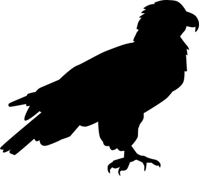 recommend clip art: Eagle silhouette standing