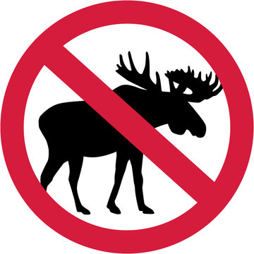Fototapeta Moose forbidden