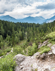 Fototapeta na wymiar Beautiful view of nature in the italian dolomites