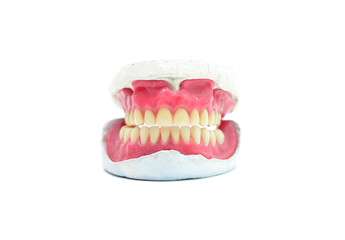 teeth mold