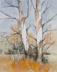 Original watercolour, trees in a forrest during winter