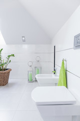 Fototapeta premium Close-up of toilet and bidet
