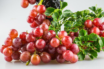 Ripe red grapes with white back ground