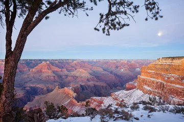 Photo sur Plexiglas Canyon View of Grand Canyon in Winter
