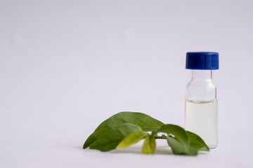 Sample vial and leaf