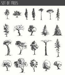 Trees sketch set, vintage vector style, hand drawn