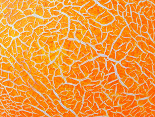 Abstract background. Melon surface close up.