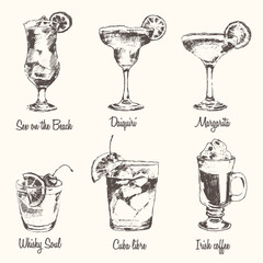 Set cocktail Margarita Whiskey drawn sketch vector
