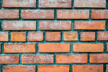 Naklejka premium Background of brick wall texture