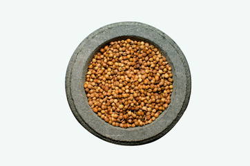 Coriander in stone spice grinder, isolated on white